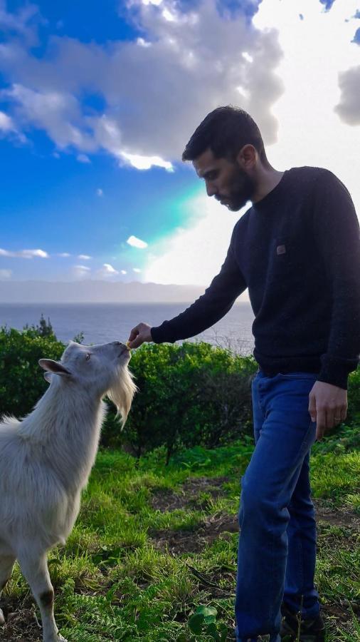 Quinta Do Caminho Da Igreja Ter-Casas De Campo Velas Luaran gambar